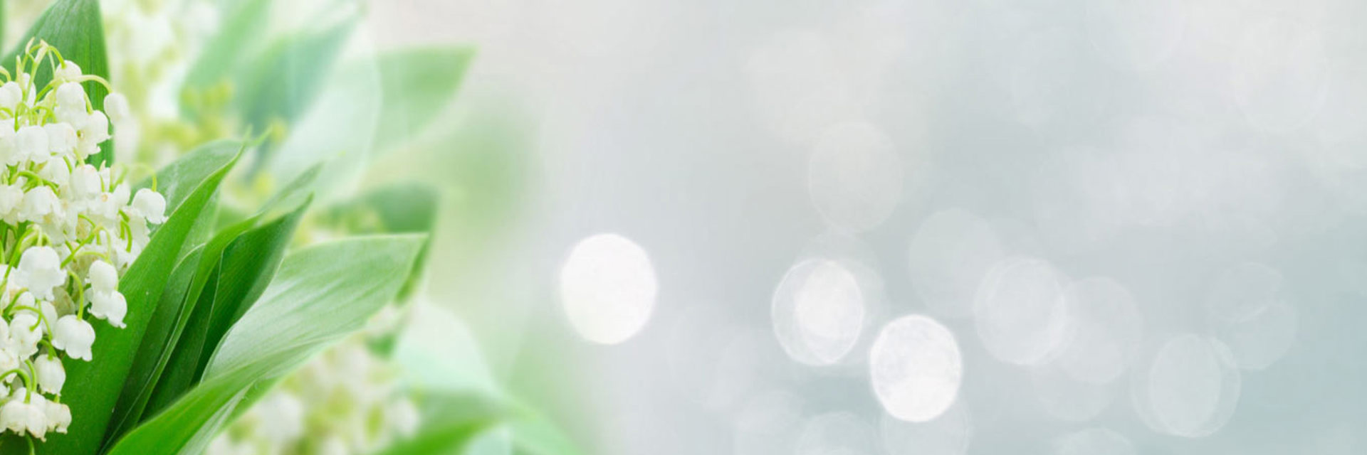 Inner Page Banner